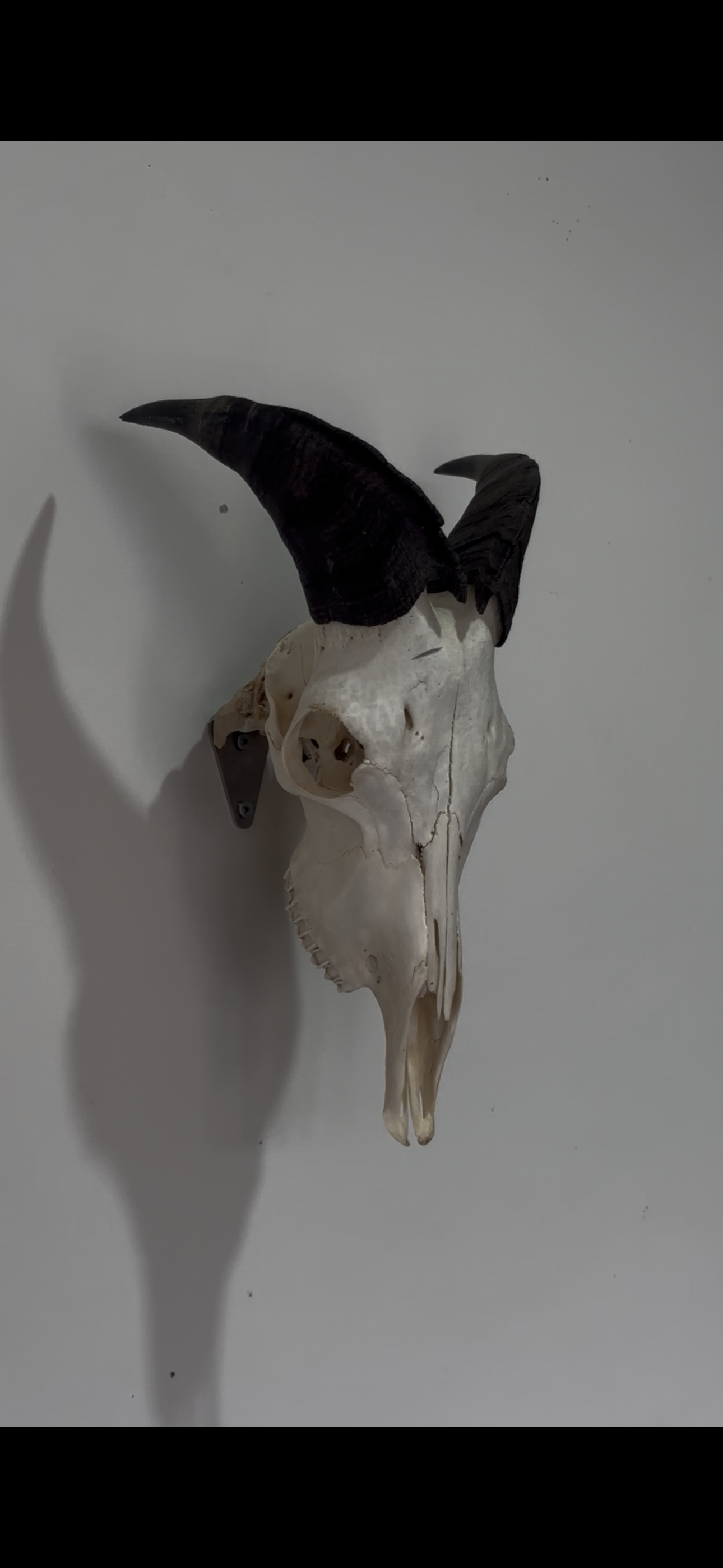 True Ridge Stainless Steel European Mounts